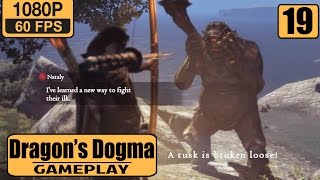 Dragons Dogma Dark Arisen gameplay walkthrough Part 19 - Silent Valley