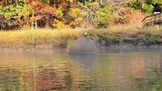 Easy day on the river! White perch fishing!