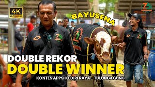 Sapi Bayusena Double Rekor Double Winner 2024 Kontes APPSI Kediri Raya   Tulungagung