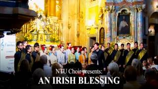 2013 - An Irish Blessing