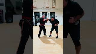 Cane Takedown - Stick & Empty Hand #short #shorts #filipinomartialarts #modernarnis #martialarts