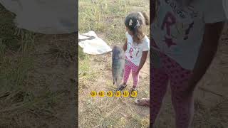 Today going to fishing so many fishes 🤩🤩#ytshorts #viralvideo #fishing #trending #trendingsong