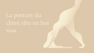 Une initiation au yoga : jour 1 avec la posture du chien tête en bas