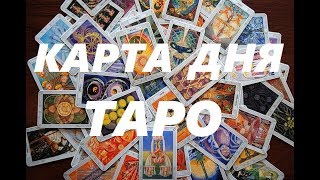 КАРТА ДНЯ 26 НОЯБРЯ! Гадание на Таро. Аркан Императрица