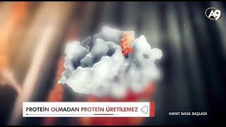 Proteinlerin vücuttaki harika görevleri