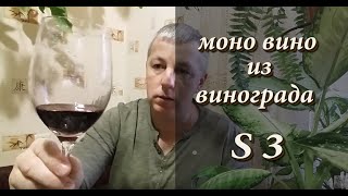 Домашнее вино из винограда S-3. Моно вино из винограда S 3.