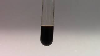 Chemical Reaction J:  Copper II ion and sodium sulfide