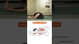 How to do Janu Sirsasana Correctly #janusirsasana #yogapose