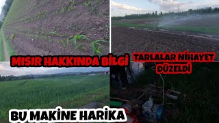 Mısır hakkında bilgi/Ekinlere bakıyorum kuraklık var/hatta boru patlamış/Elektrikli santirafiş