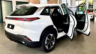 2024 BIAC BEIJING X55 Fine Seater - White Color SUV Edition