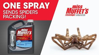 Miss Muffet's Revenge Spider Killer