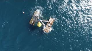 Watch the latest DPI artificial reef be towed and sunk off Newcastle