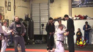 Purple Belt Promotions - Red Schafer Mixed Martial Arts - Milwaukee, Wisconsin