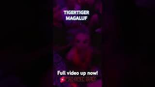 TIGERTIGER MAGALUF, full video up now! #magaluf #nightlife #party #spain #travel #house