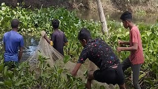 Fishing method with nets among the boys in the village - rsl fish cutting