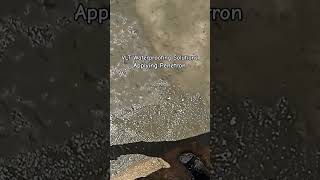 #youtube #shorts #construction #Waterproofing #application @VLTSolutions