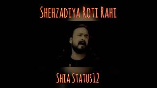 Shehzadiya Roti Rahi Irfan Haider New Noha Status|Irfan Haider New Noha Status|Shehzadiyan Roti Rahi