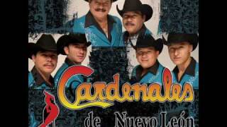 CARDENALES DE NUEVO LEON- JOSEFA (polka)