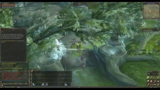 Bot's Overrunning Naia Server "Lineage 2"