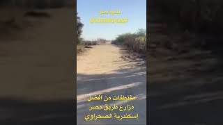 من افضل مزارع طريق مصر اسكندرية الصحراوي