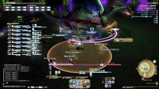 FF14 闇の世界 白魔道士