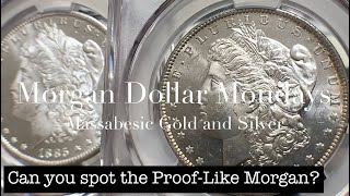 SEMI PROOF-LIKE vs PROOF-LIKE - “MORGAN DOLLAR MONDAYS” with MASSABESIC GOLD and SILVER