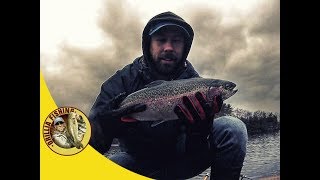 Rainbow Trout Fishing with powerbait - Georgian Bay November 12 2018