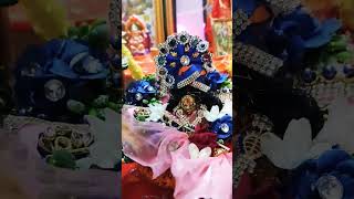 Savan ka jhoola || Natkhat Gopala || Wo Krishna hai || Banke bihari || Laddu Gopal