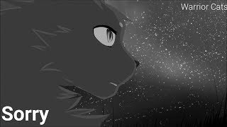 Warrior Cats Crowfeather, Nightcloud and Breezpelt Tribute - Sorry