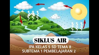 Siklus Air || IPA KELAS 5 SD Tema 8 ||