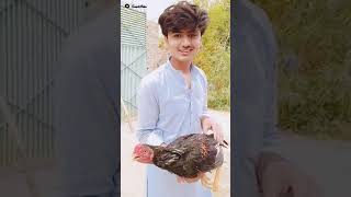 Waleed Malik jiya jiya nai