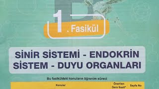 Testokulu AYT Biyoloji konu anlatım föyü-Nöronun yapısı