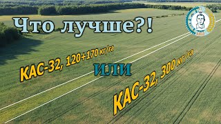 Подкормка N90: лучше дробно или единовременно?!