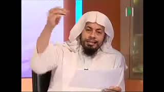 صفحات من التاريخ الحديث  ح7  -  فترة حكم نابليون لمصر - محمد موسى الشريف