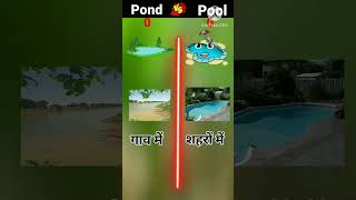 #pond vs #pool #youtube #shorts #video