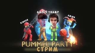 ЧИТЕР ПРОТИВ МИЛЛИАРДЕРА в PUMMEL PARTY!