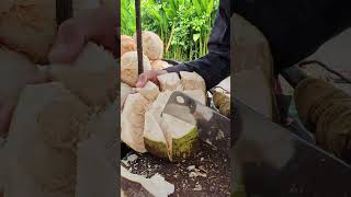 Speed cutting coconuts skills. #shorts #coconut #fresh