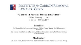 Carbon in Forests: Stocks and Fluxes