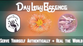 Choose Yourself + Heal The World With Day Lily Flower Essence