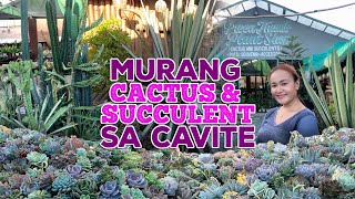 SAAN MAKAKABILI NG MURANG CACTUS AND SUCCULENT SA CAVITE? | By Intri's TV