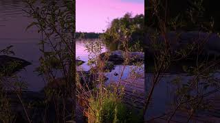 Relaxing Lake #shorts #nature #naturesounds