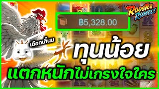 rooster rumble สล็อตไก่ชน pg สล็อตแตกง่าย : ไก่แตกหนัก เอาเรื่อง!