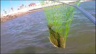 seawolf Park fishing galveston tx