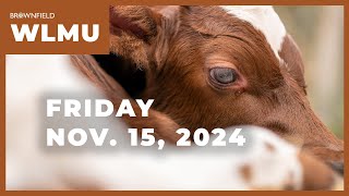 A preview of the upcoming Cattle on Feed report | Weekly Livestock Market Update