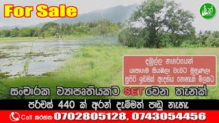 440 Perches for sale in Dambulla Tourist Zone - Contact: 0702805128, 0743054456- Lak Ads