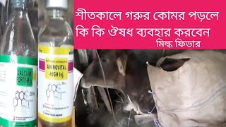 শীতকালে দেশী গরু দূর্বল হলে কি কি ঔষধ ব্যবহার করবেন