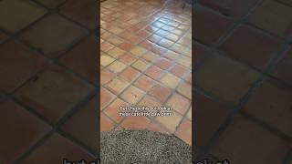 Paw Prints In Mexican Saltillo Tile