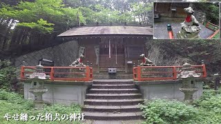 やせ細ったガリガリの狛犬がある『蓑山神社』に行ってみた！