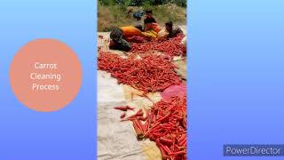 Killasaifullah Village Crops | A Agriculture hub of Balochistan District KillasaifUllah