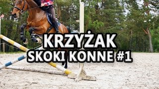 Jak skakać na koniu? - krzyżak - trening 1